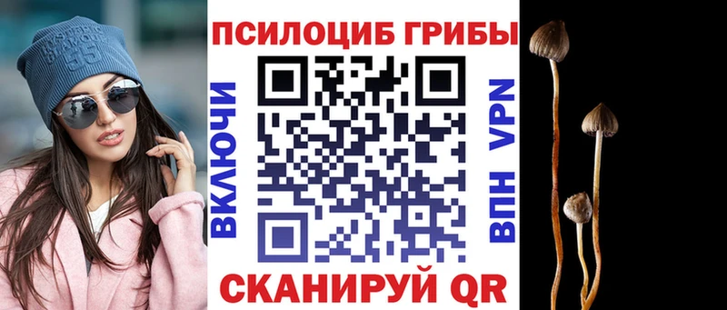 Псилоцибиновые грибы GOLDEN TEACHER купить сайты Снежинск